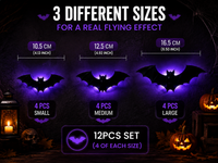 12pcs