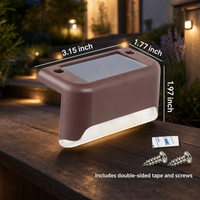 Brown Shell-Warm white