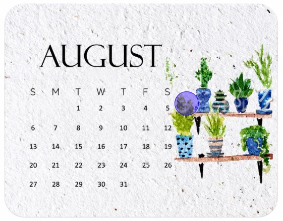 🌱 48% OFF 2027 Plantable Seed Calendar – Use It, Plant It, Grow It 🌼