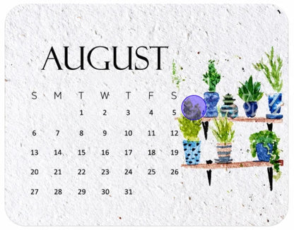 🌱 48% OFF 2027 Plantable Seed Calendar – Use It, Plant It, Grow It 🌼
